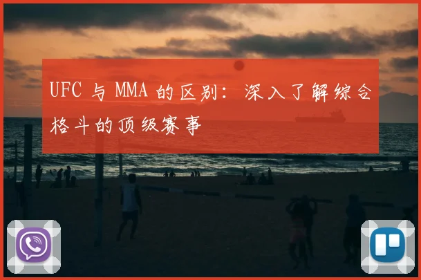 UFC 与 MMA 的区别：深入了解综合格斗的顶级赛事