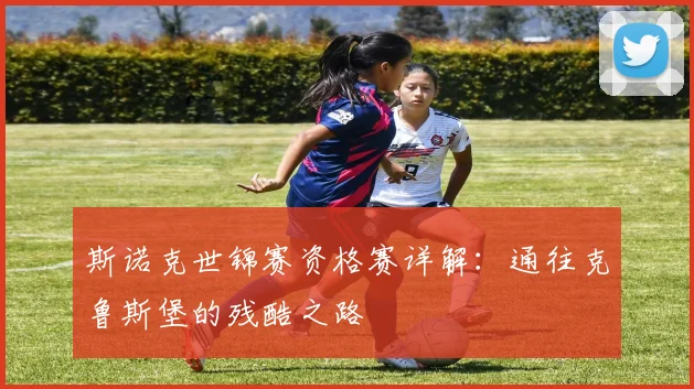 斯诺克世锦赛资格赛详解：通往克鲁斯堡的残酷之路
