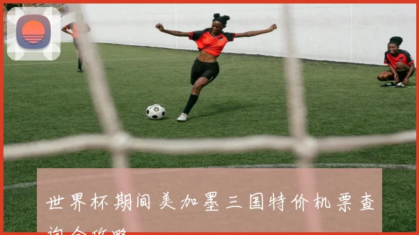 世界杯期间美加墨三国特价机票查询全攻略