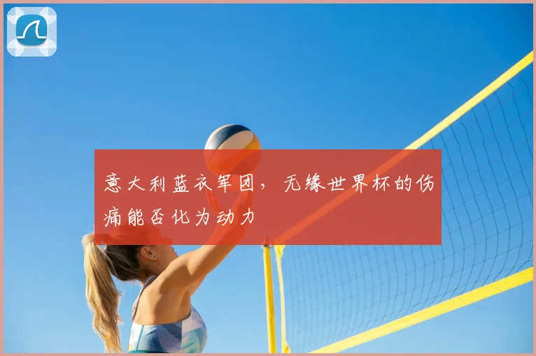 意大利蓝衣军团，无缘世界杯的伤痛能否化为动力