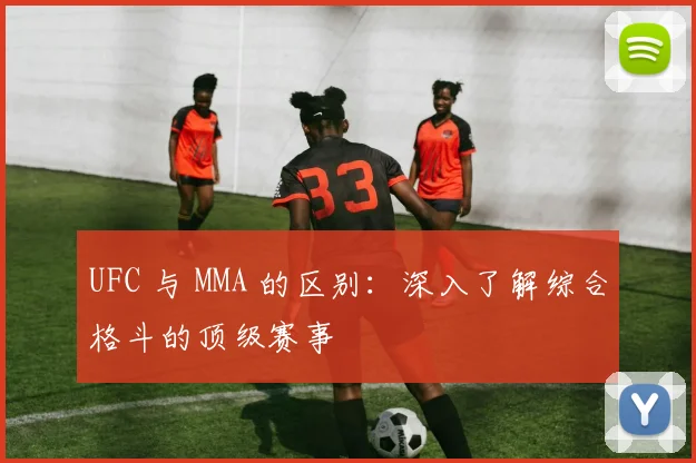 UFC 与 MMA 的区别：深入了解综合格斗的顶级赛事