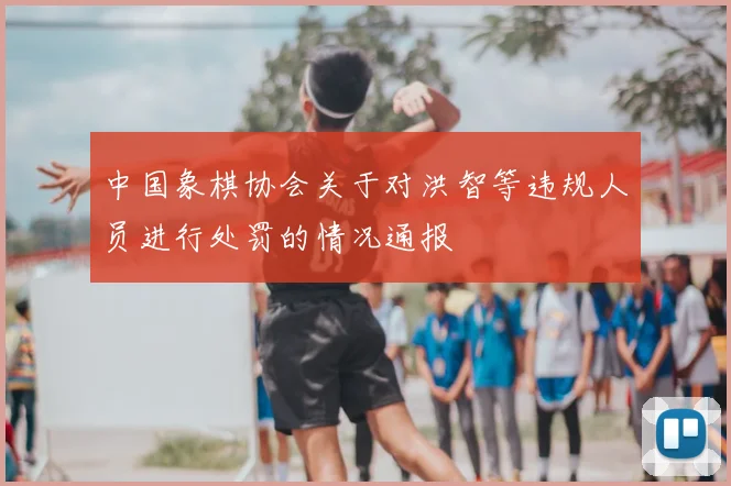 中国象棋协会关于对洪智等违规人员进行处罚的情况通报