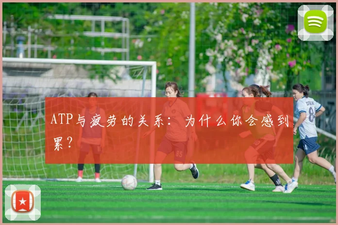 ATP与疲劳的关系：为什么你会感到累？