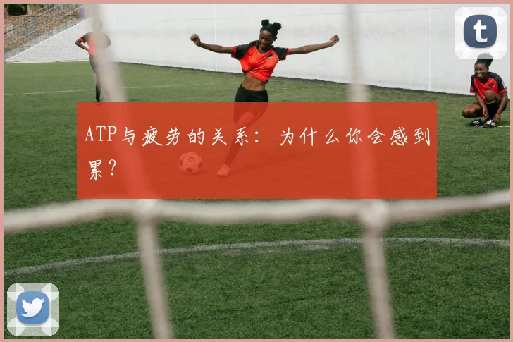 ATP与疲劳的关系：为什么你会感到累？
