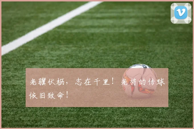 老骥伏枥，志在千里！老将的传球依旧致命！